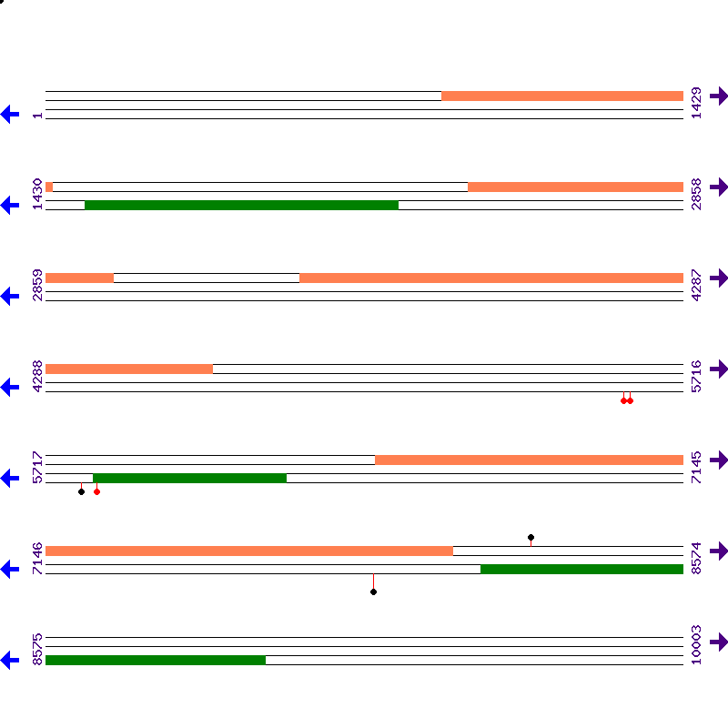 Genome View