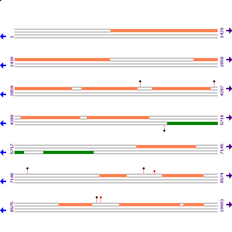Genome View