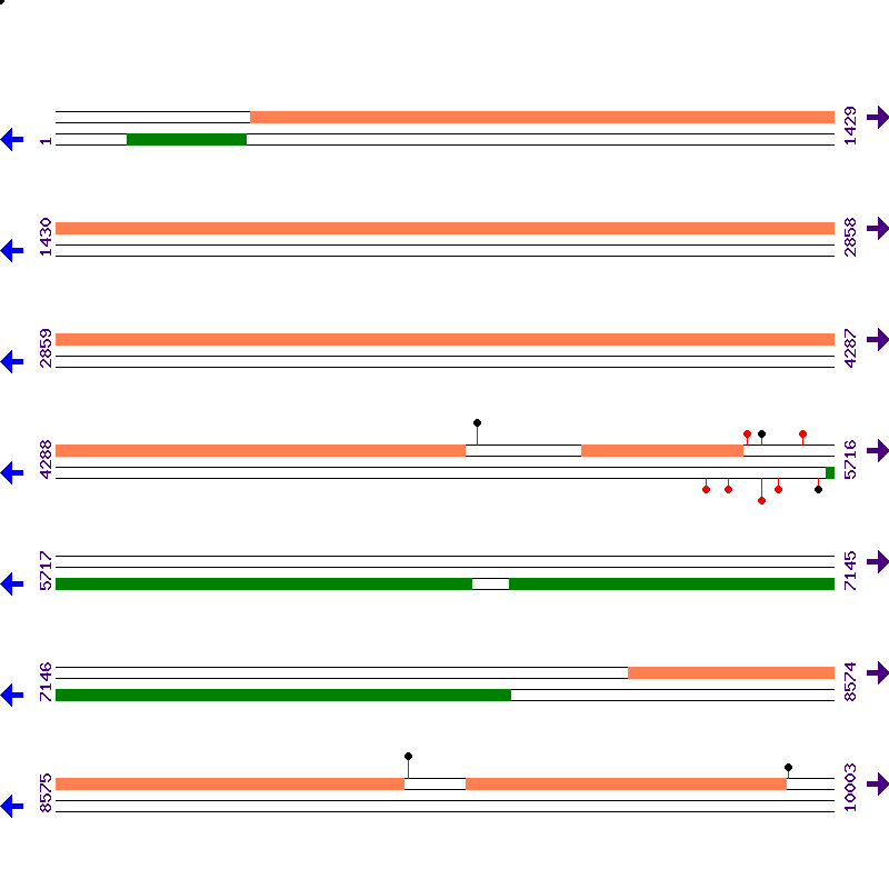 Genome View
