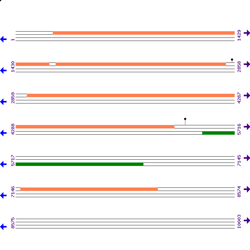 Genome View