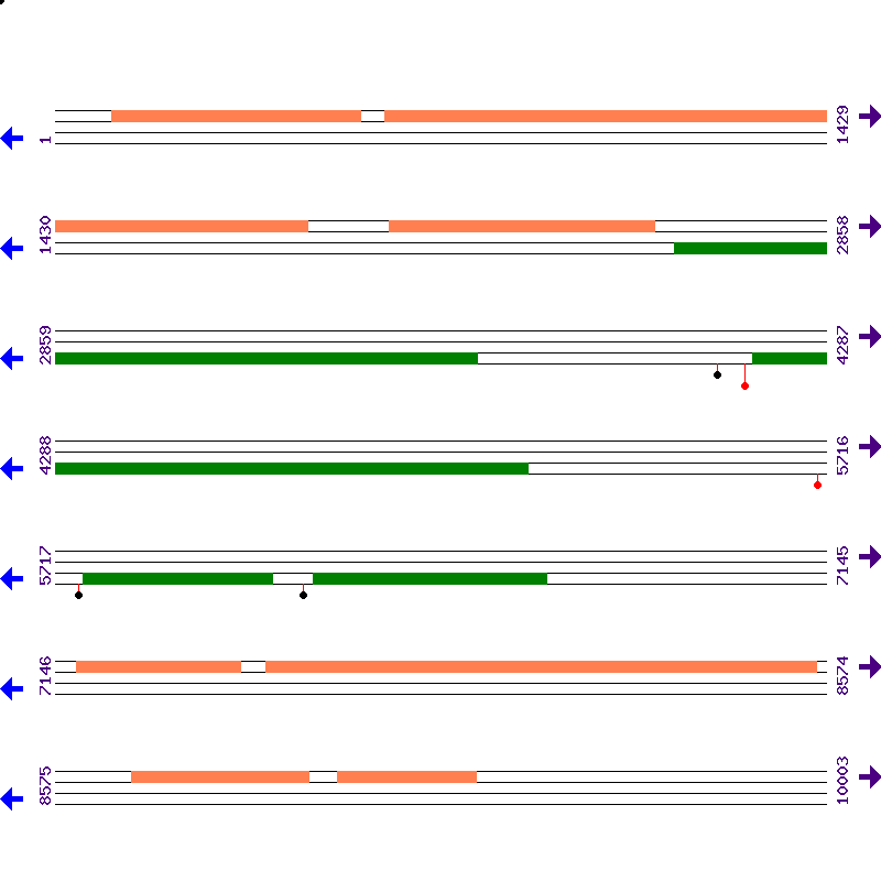 Genome View