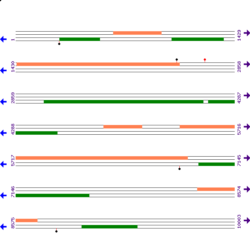Genome View