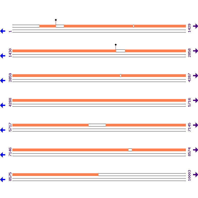 Genome View