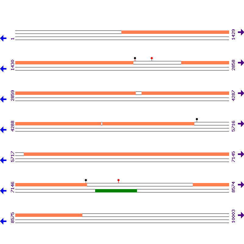 Genome View