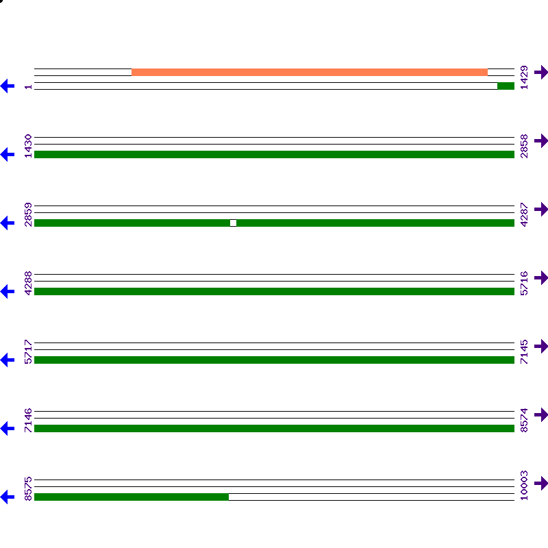 Genome View
