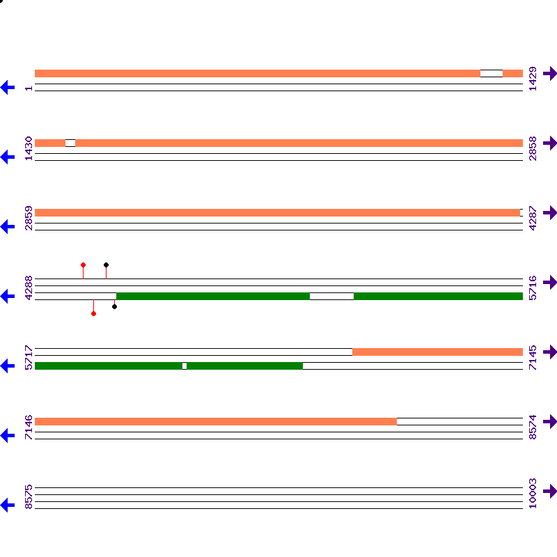 Genome View