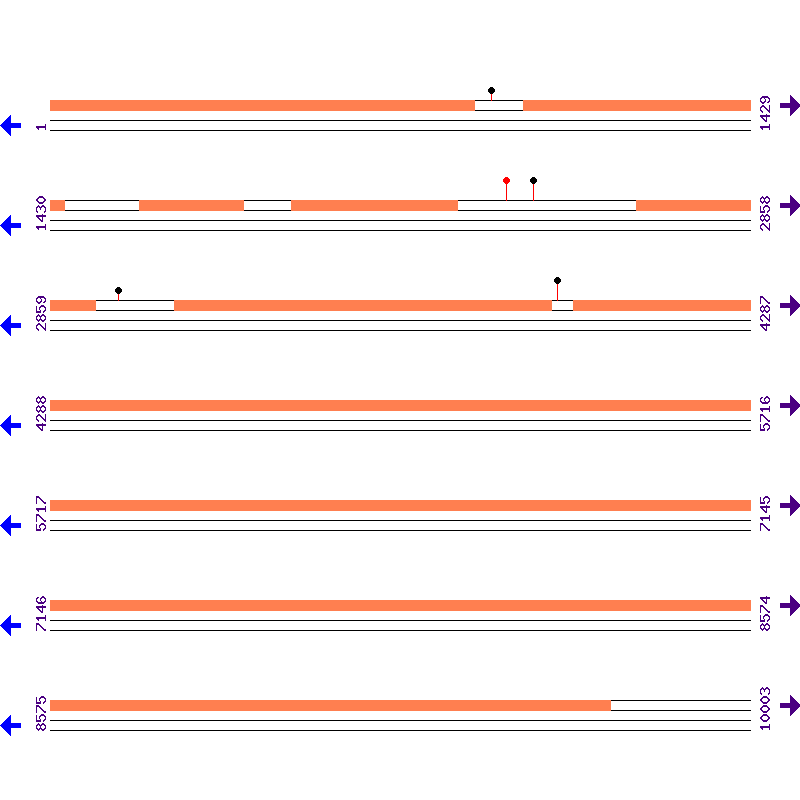 Genome View