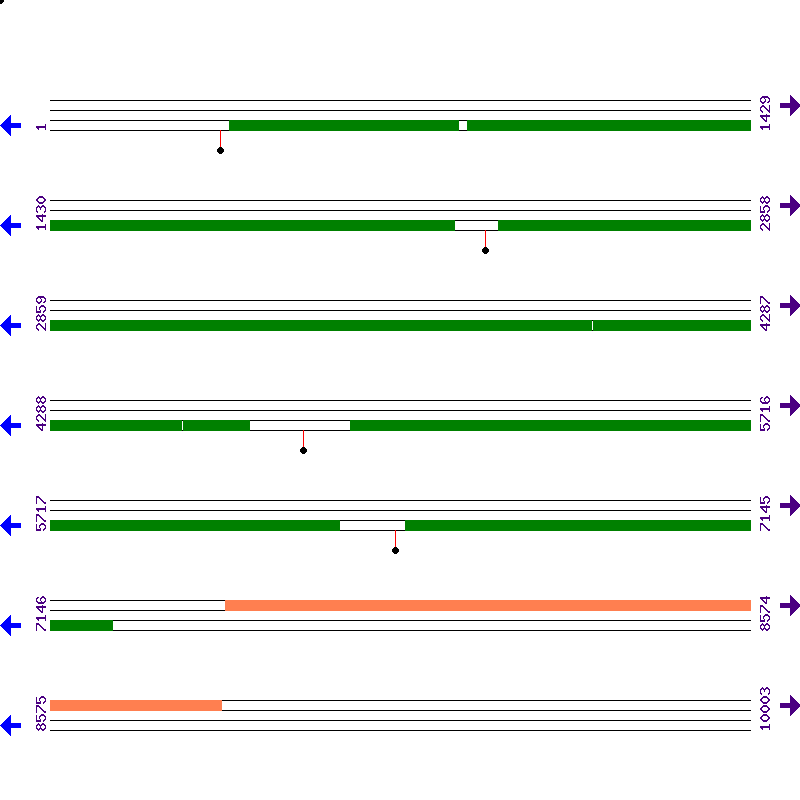 Genome View