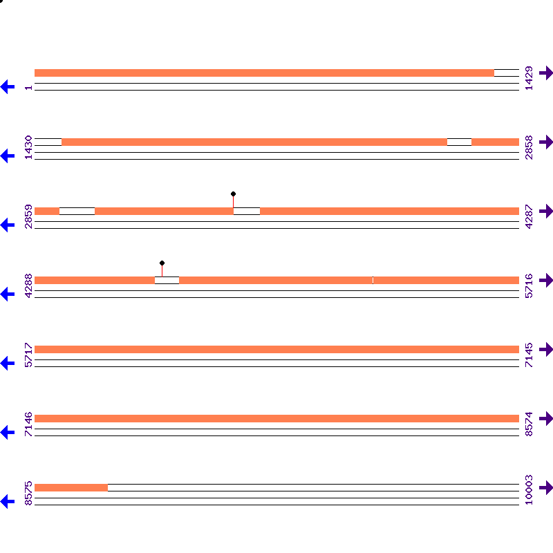 Genome View
