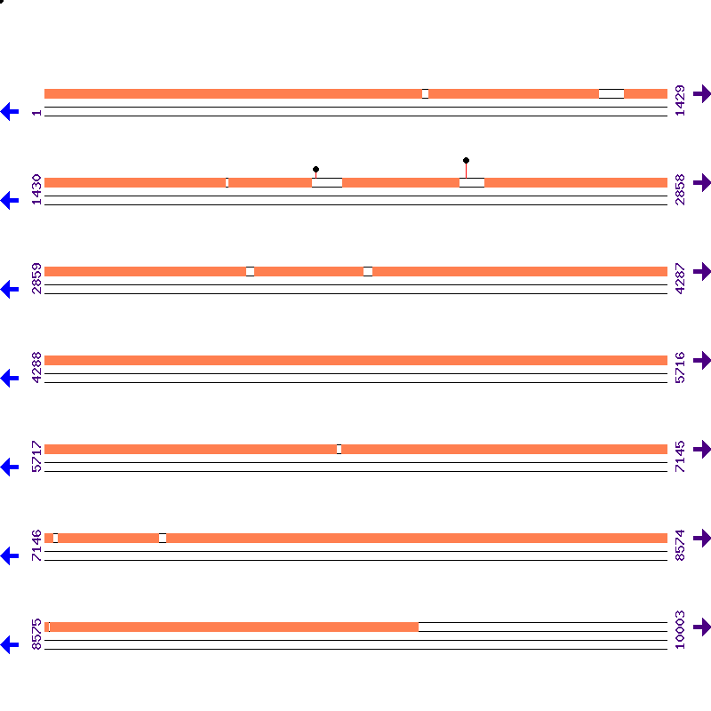 Genome View