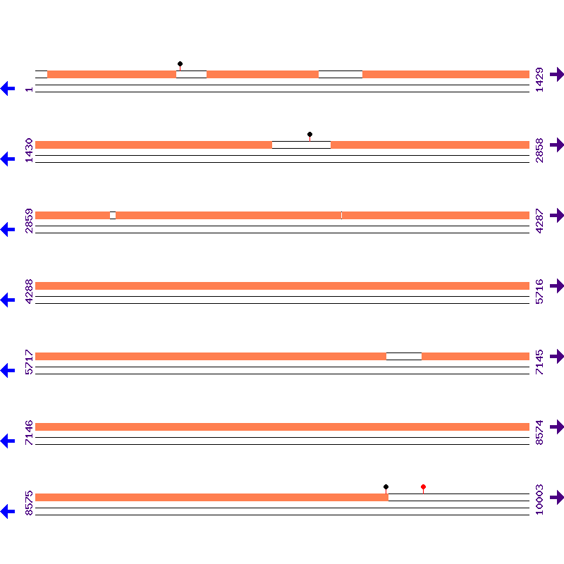 Genome View