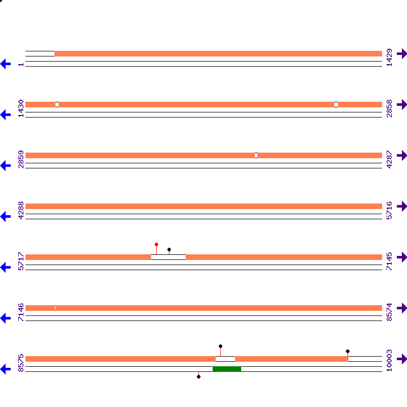 Genome View