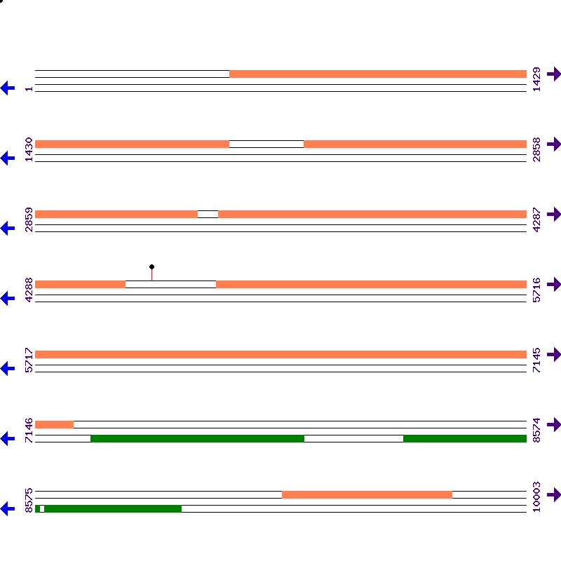 Genome View