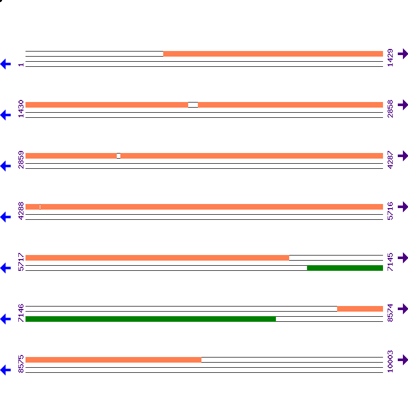 Genome View