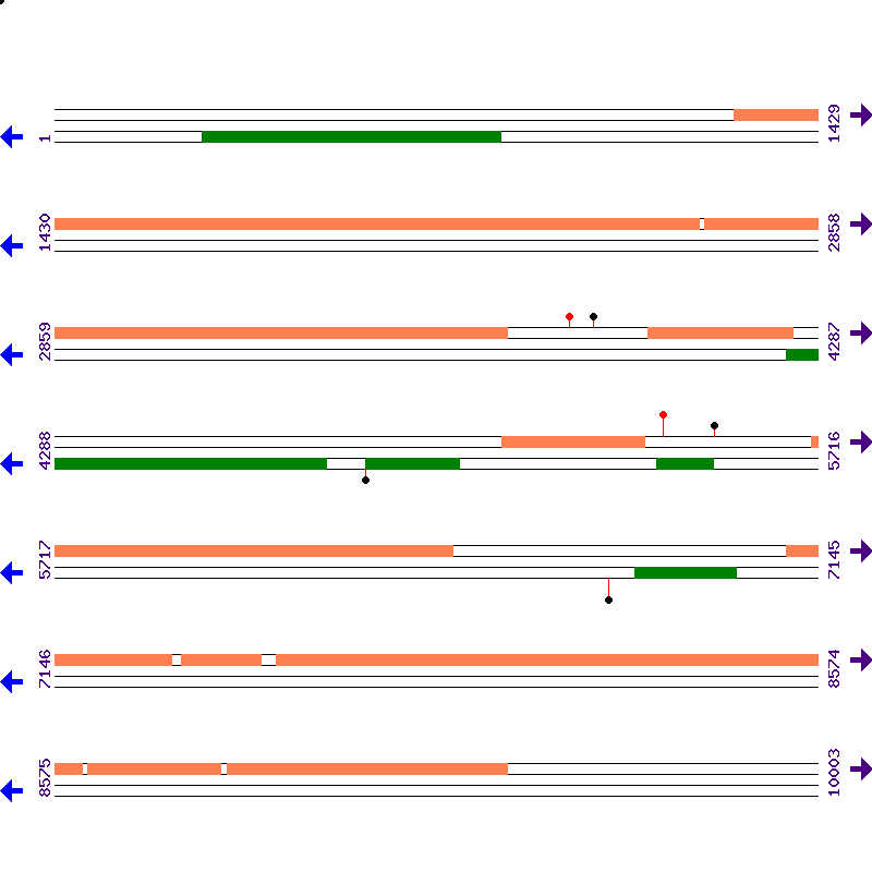 Genome View