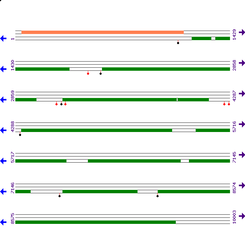 Genome View