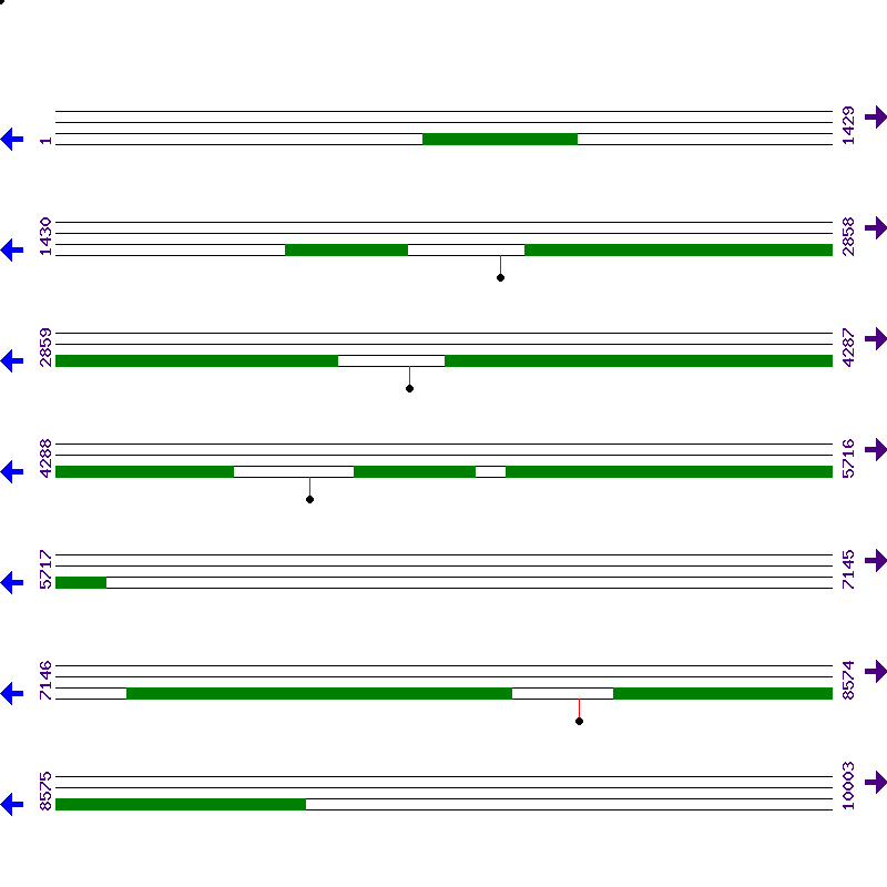 Genome View