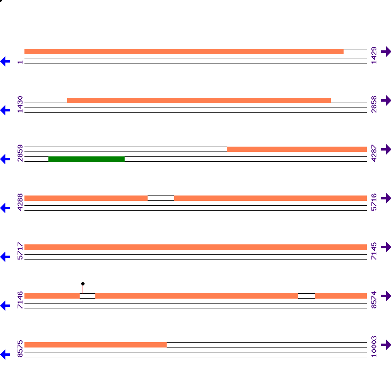 Genome View