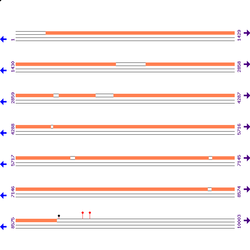 Genome View