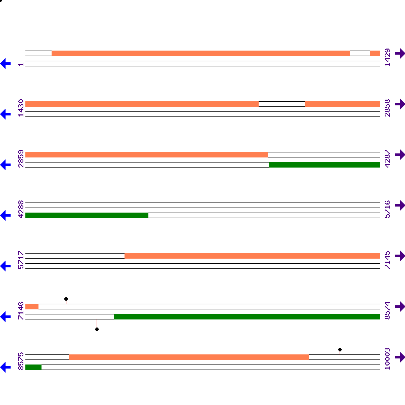 Genome View