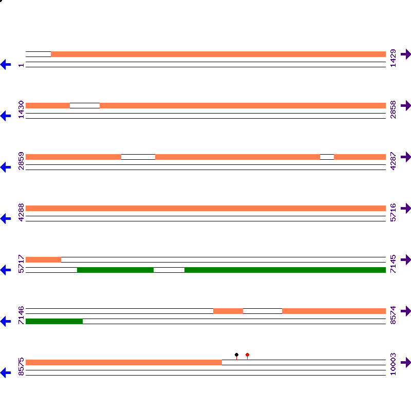 Genome View
