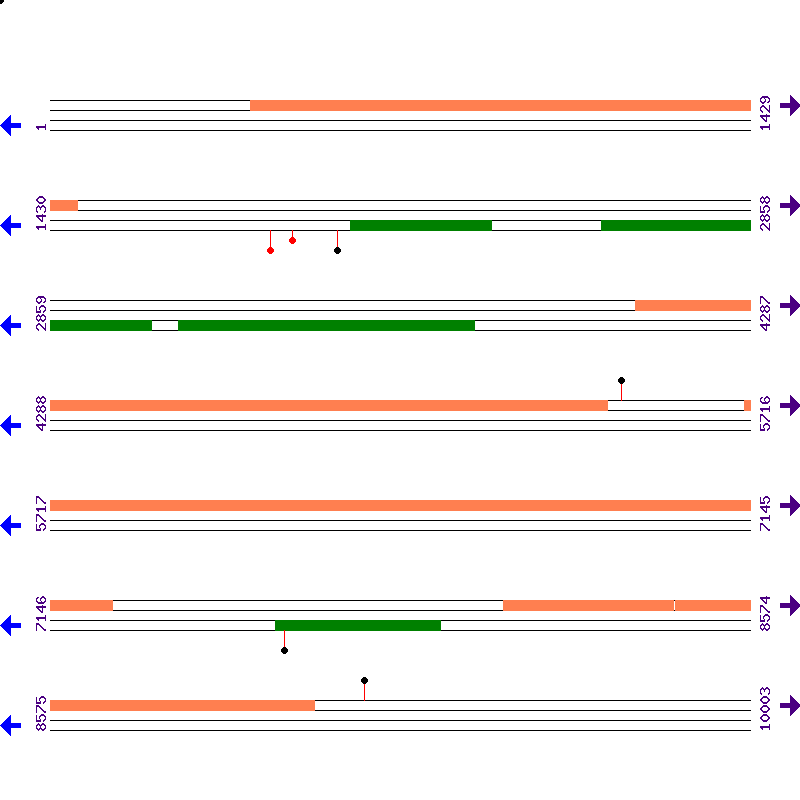 Genome View