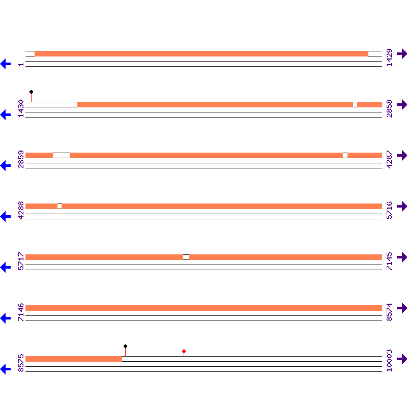 Genome View