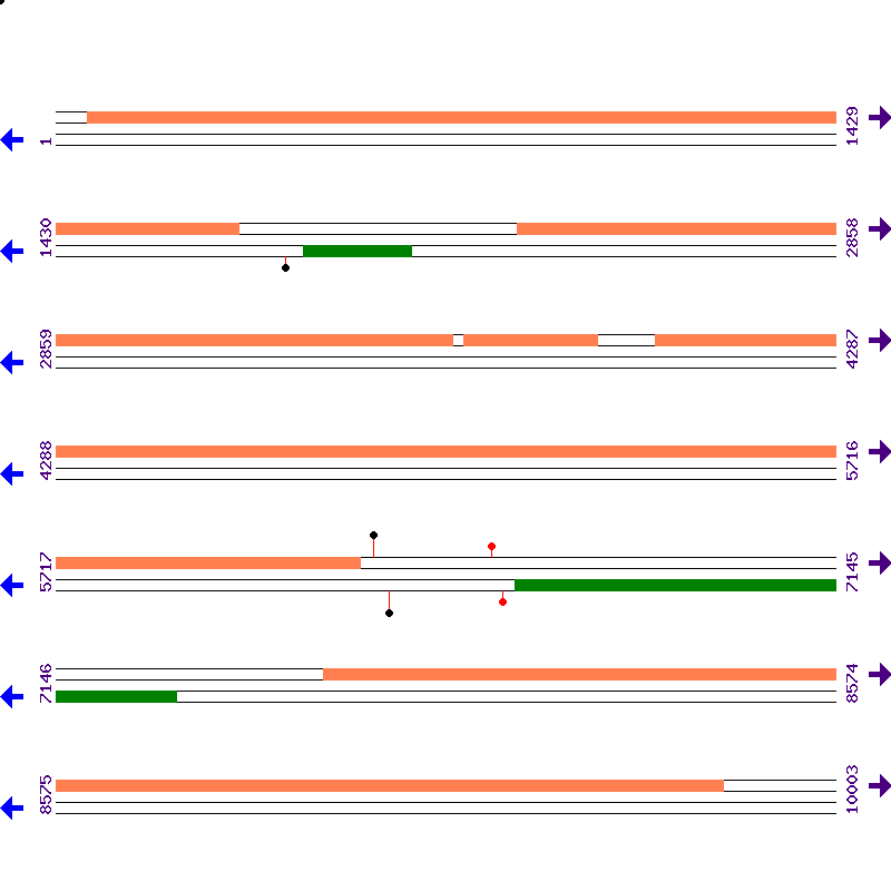Genome View