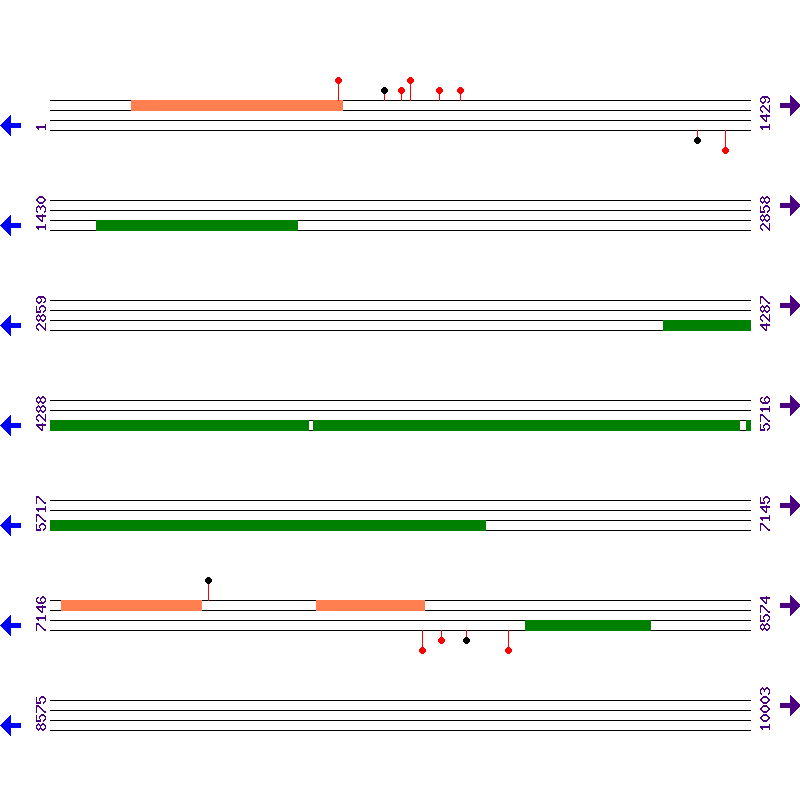 Genome View