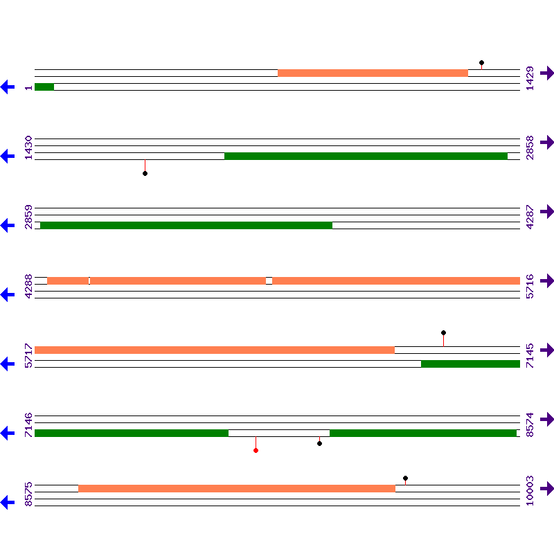 Genome View