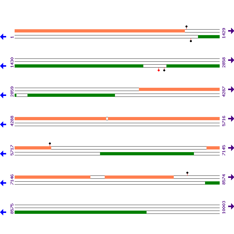 Genome View