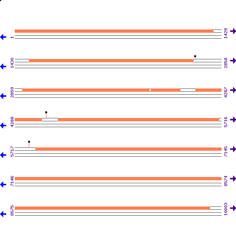 Genome View