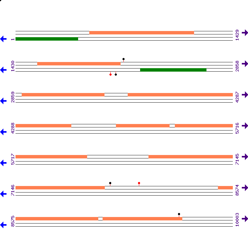 Genome View