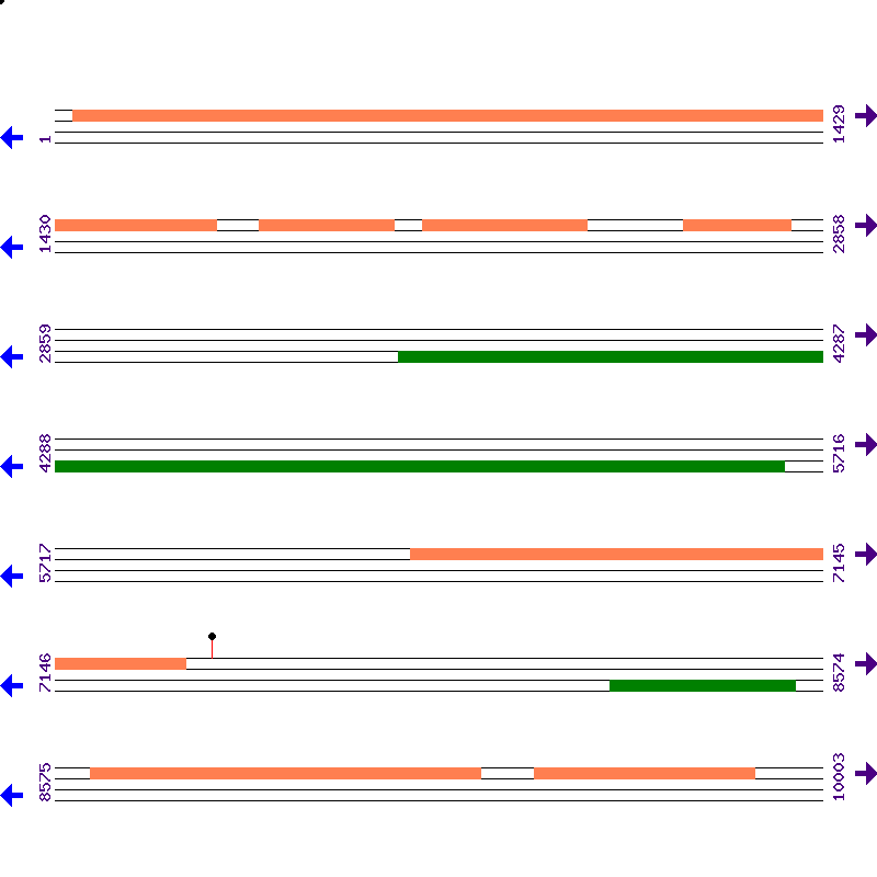 Genome View