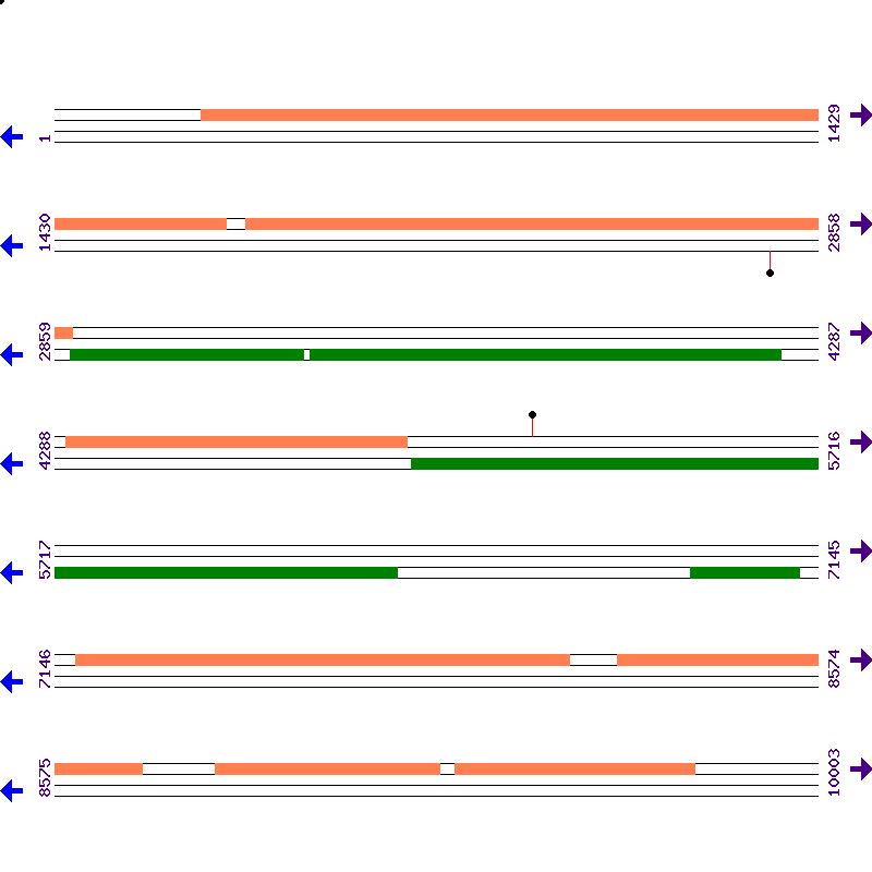 Genome View