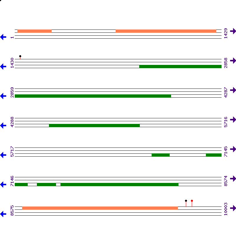 Genome View