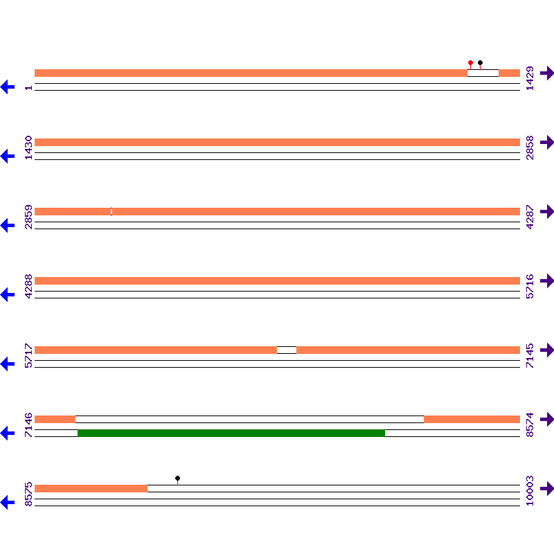 Genome View