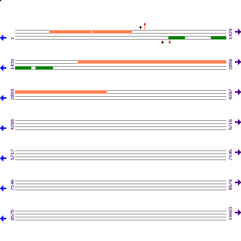 Genome View