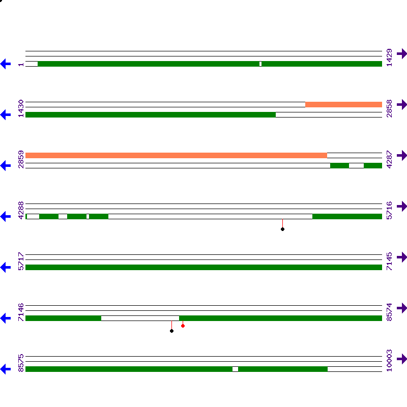 Genome View