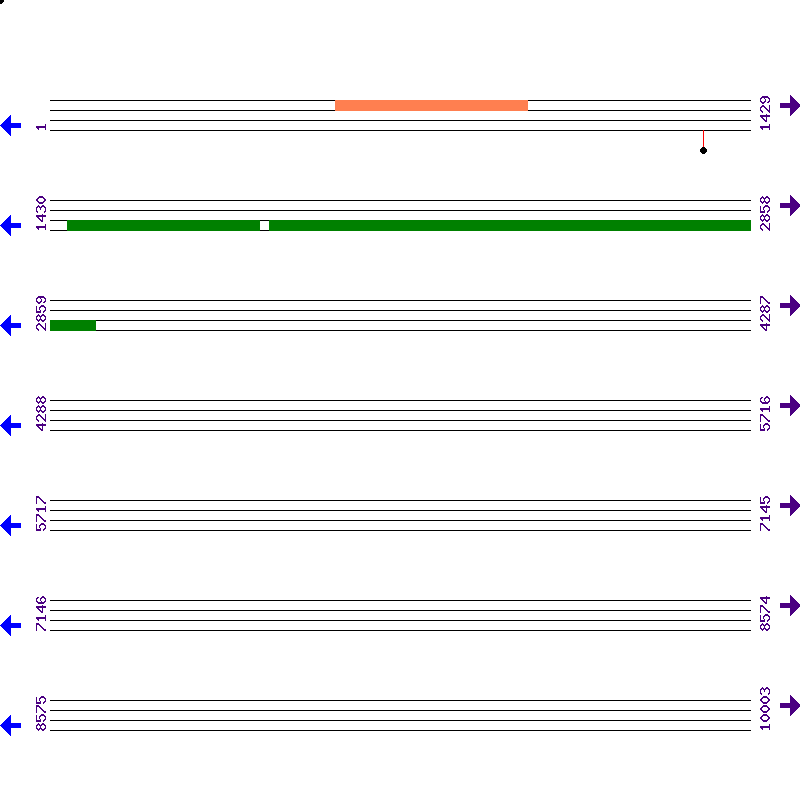 Genome View
