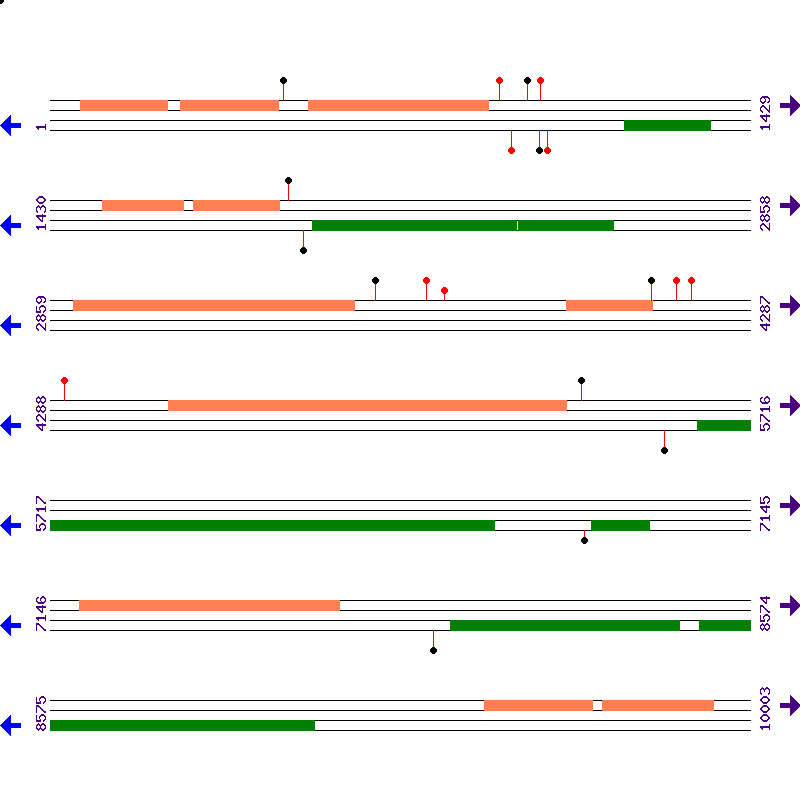 Genome View