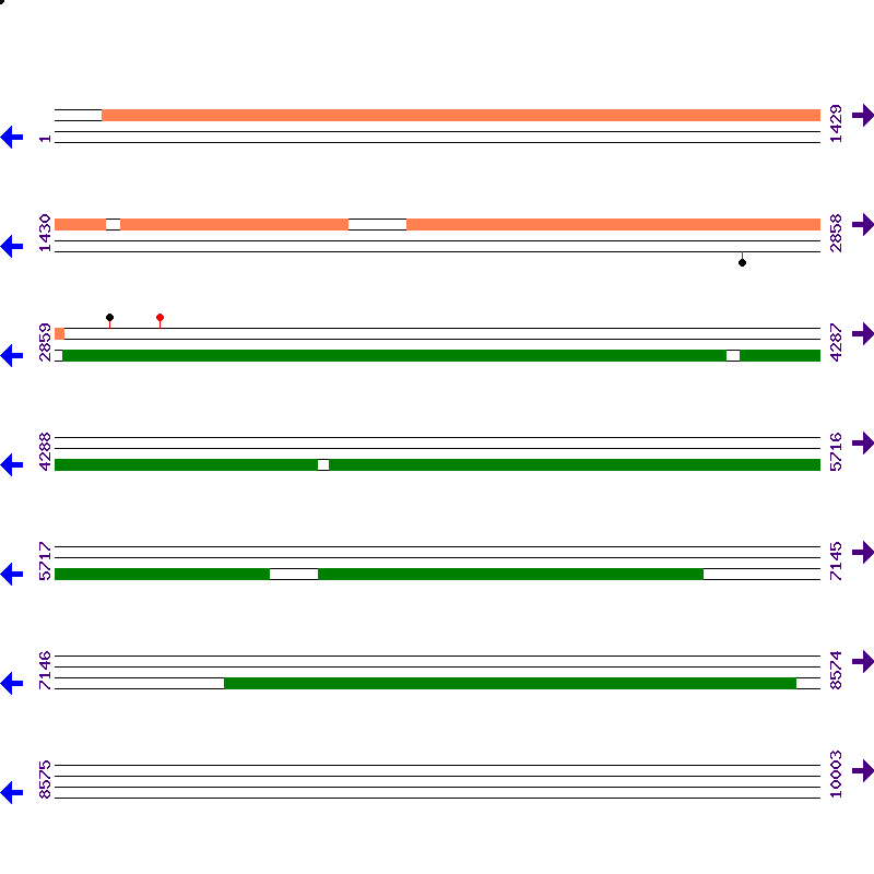 Genome View