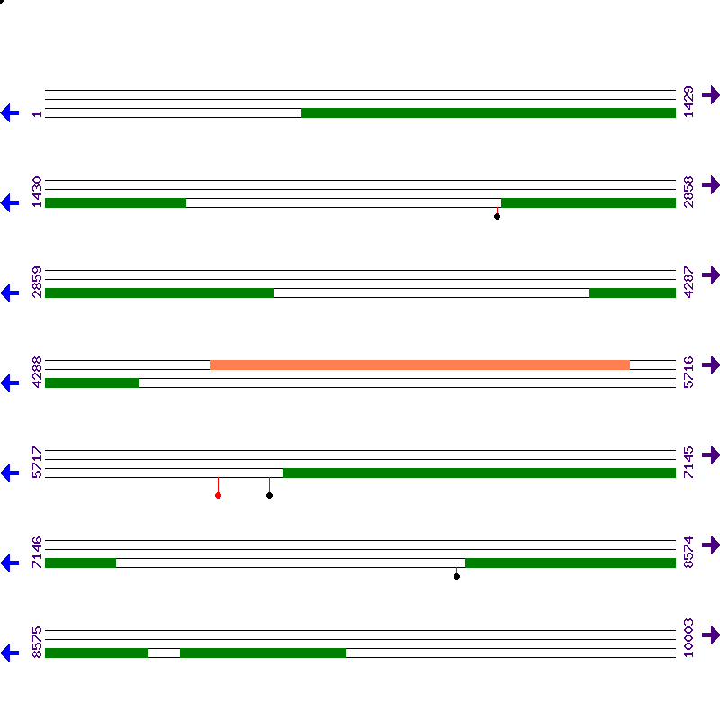 Genome View