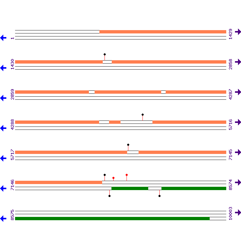 Genome View