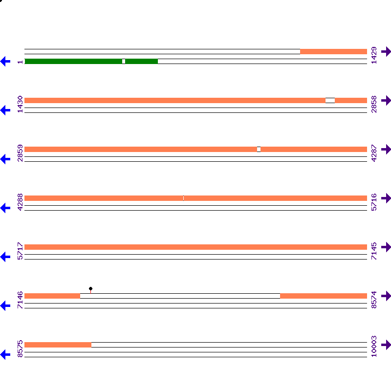 Genome View