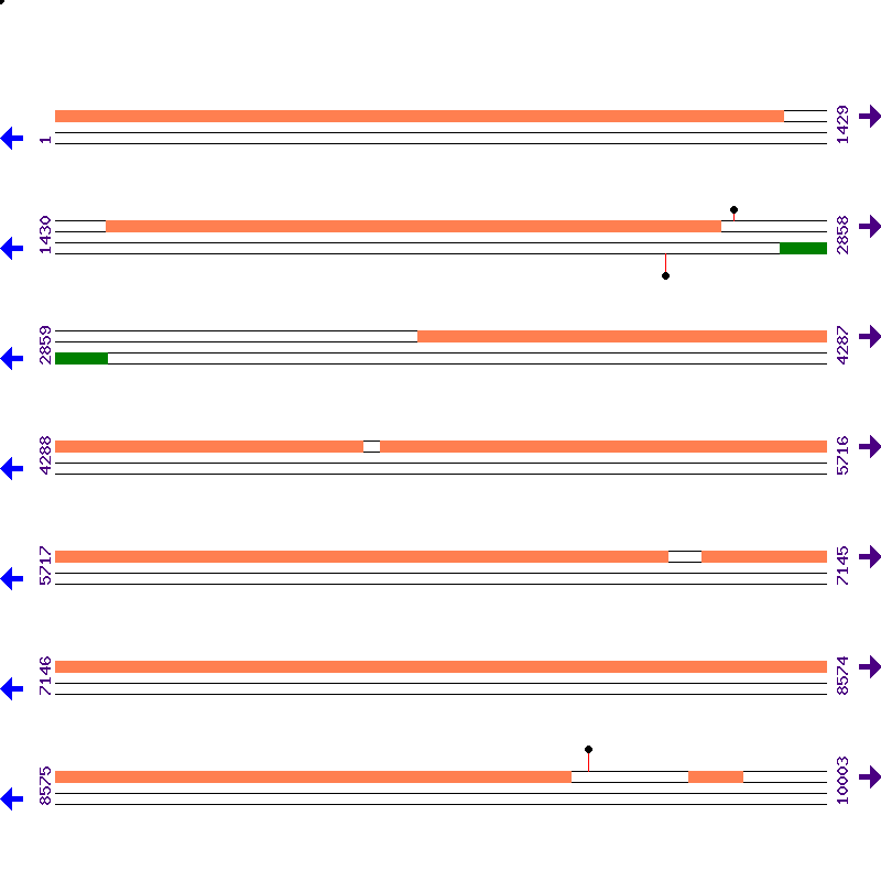 Genome View