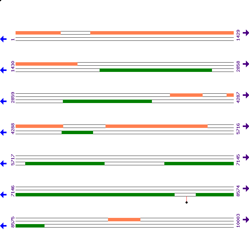 Genome View
