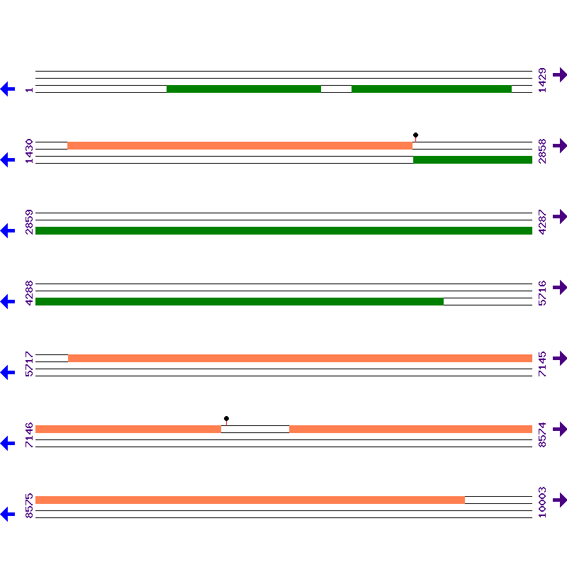 Genome View