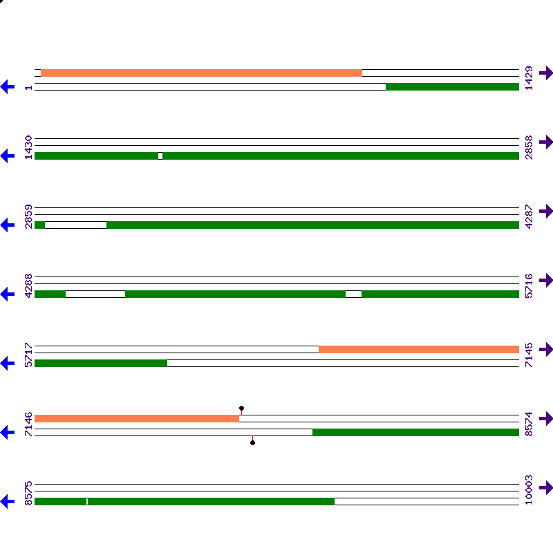 Genome View