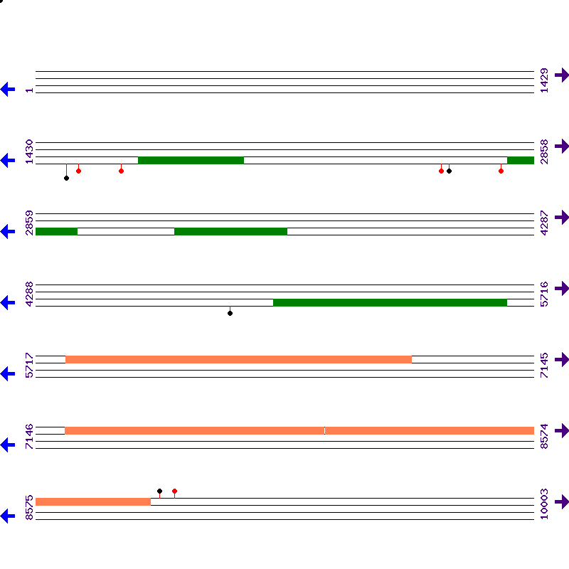 Genome View